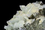 Blue Bladed Barite and Marcasite Association - Morocco #84862-2